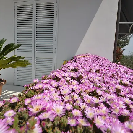 Solemarevela Bed & Breakfast Torre Suda