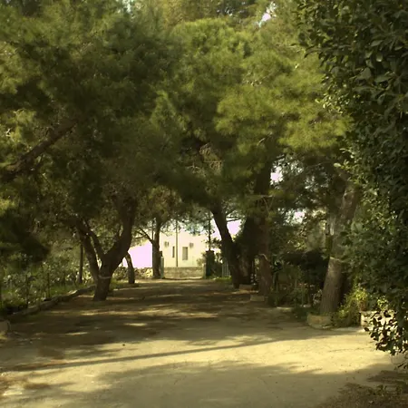 Solemarevela Torre Suda